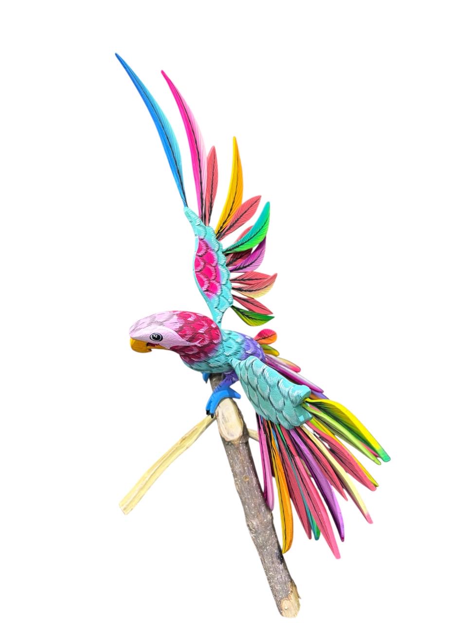 Cotorro alebrije fino