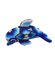 Delfín Huichol
