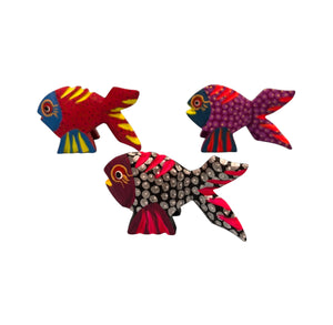 Pez payaso mini
