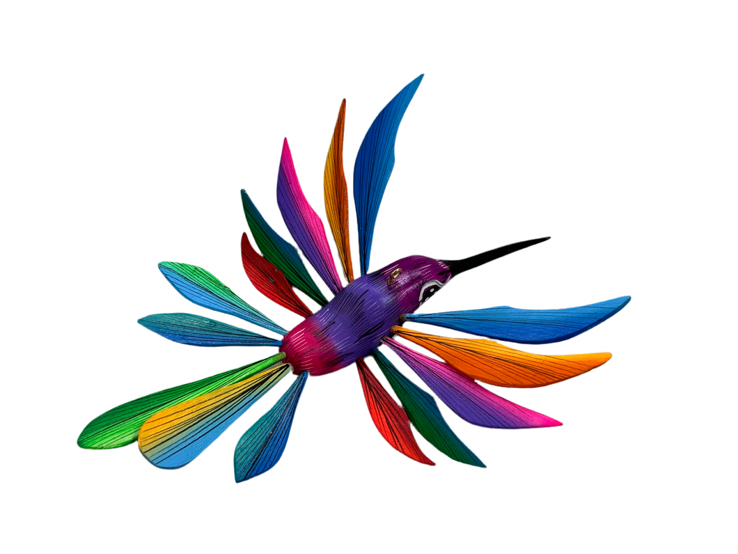 Colibrí