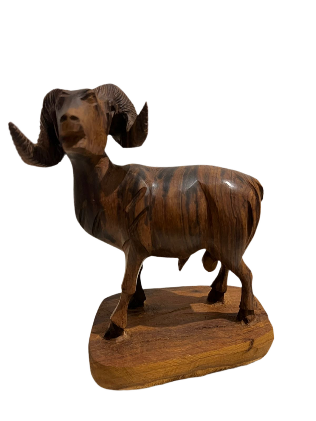 Borrego cimarrón