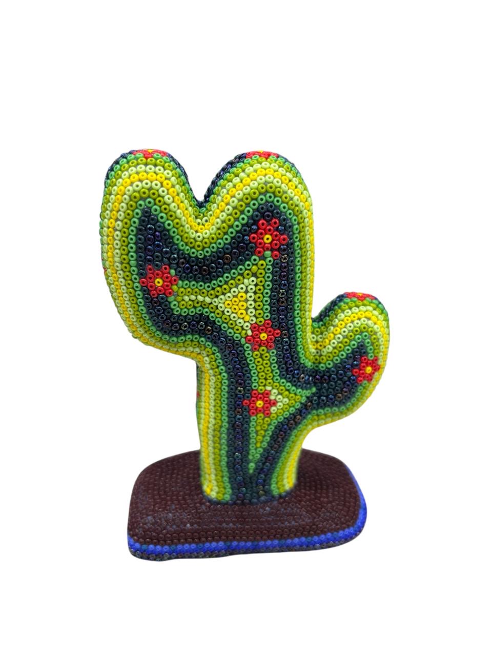 Cactus Huichol