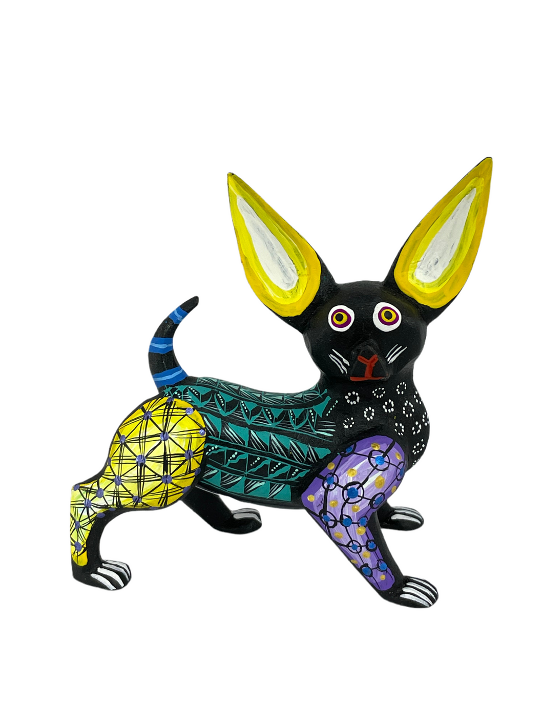 Chihuahua