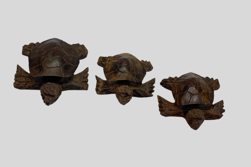 Tortuga de palo fierro