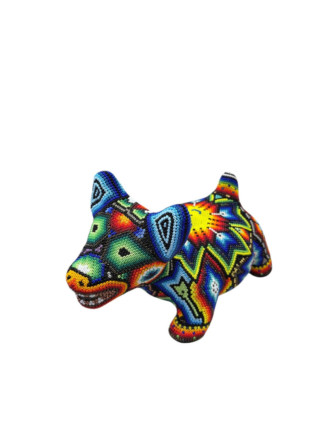 Perro parado Xoloitzcuintle Huichol