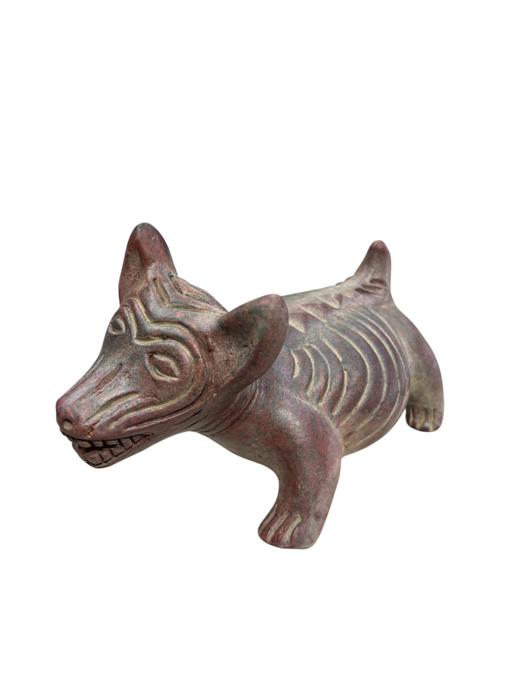 Perro Xoloizcuintle en barro