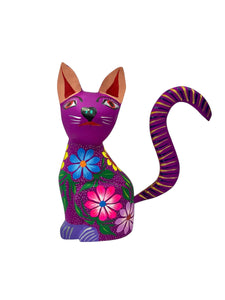 Gato mediano rosa
