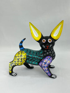 Chihuahua