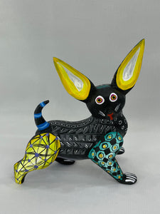 Chihuahua