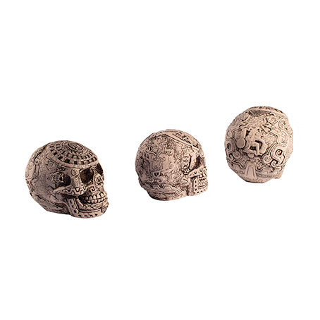 Cráneos set de 3 piezas