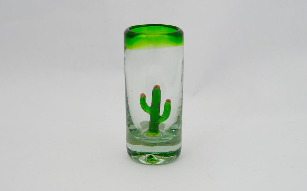 Tequilero Cactus