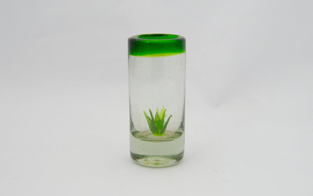 Tequilero agave