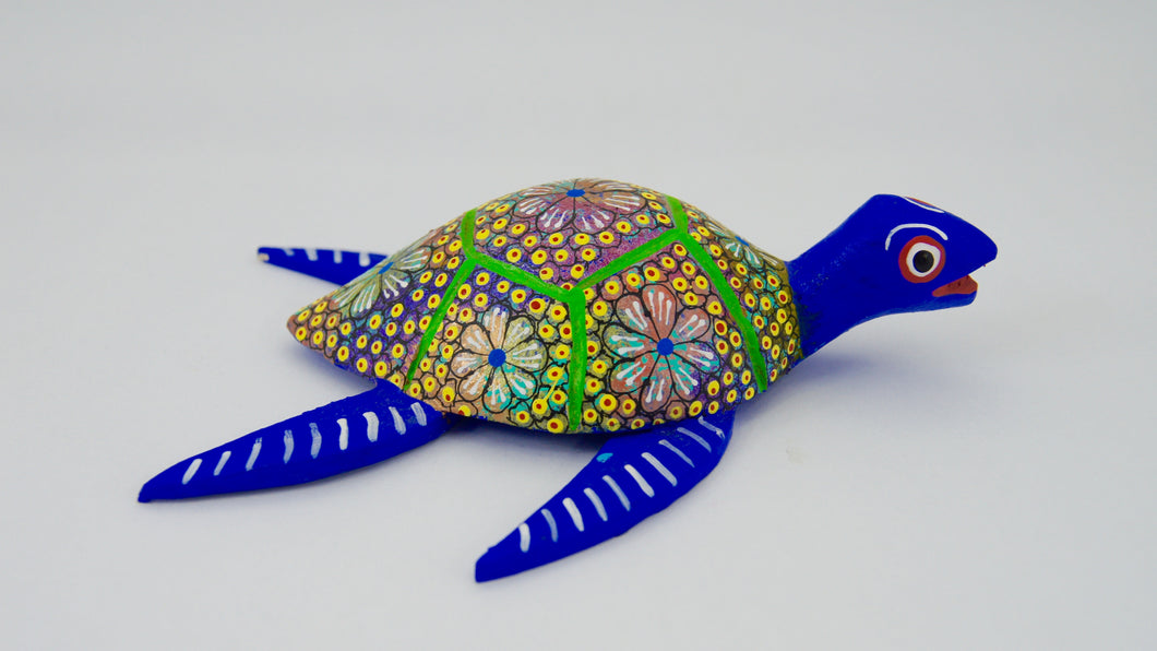 Tortuga Chica